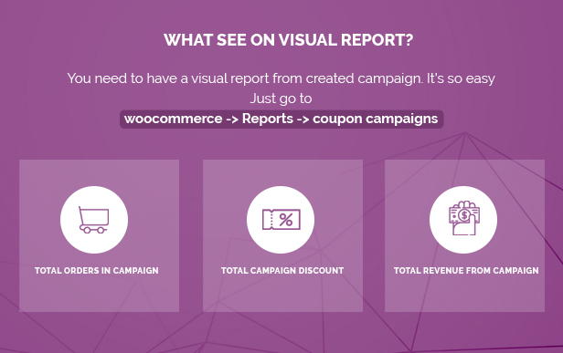 Woocommerce Coupon Campaigns & Tracking - 3