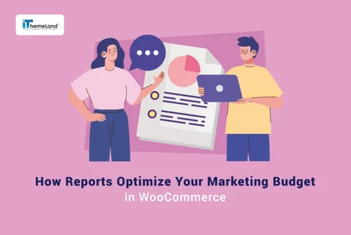 How Reports Optimize Your Marketing Budget in WooCommerce banner