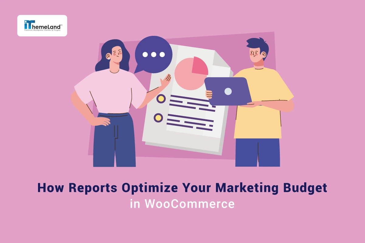 How Reports Optimize Your Marketing Budget in WooCommerce banner