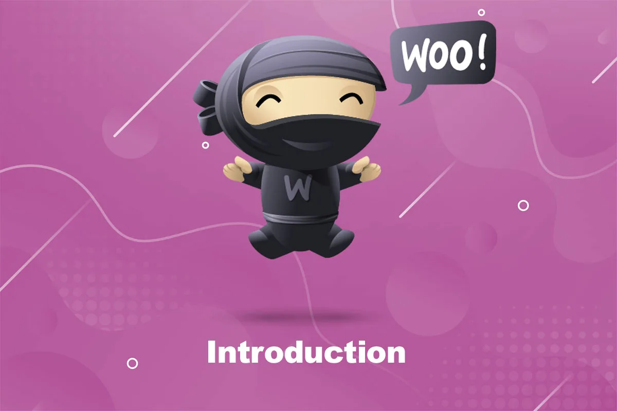 woocommerce introduction - banner