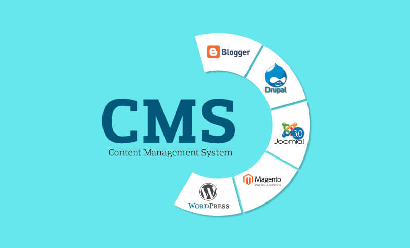 Content management system logos