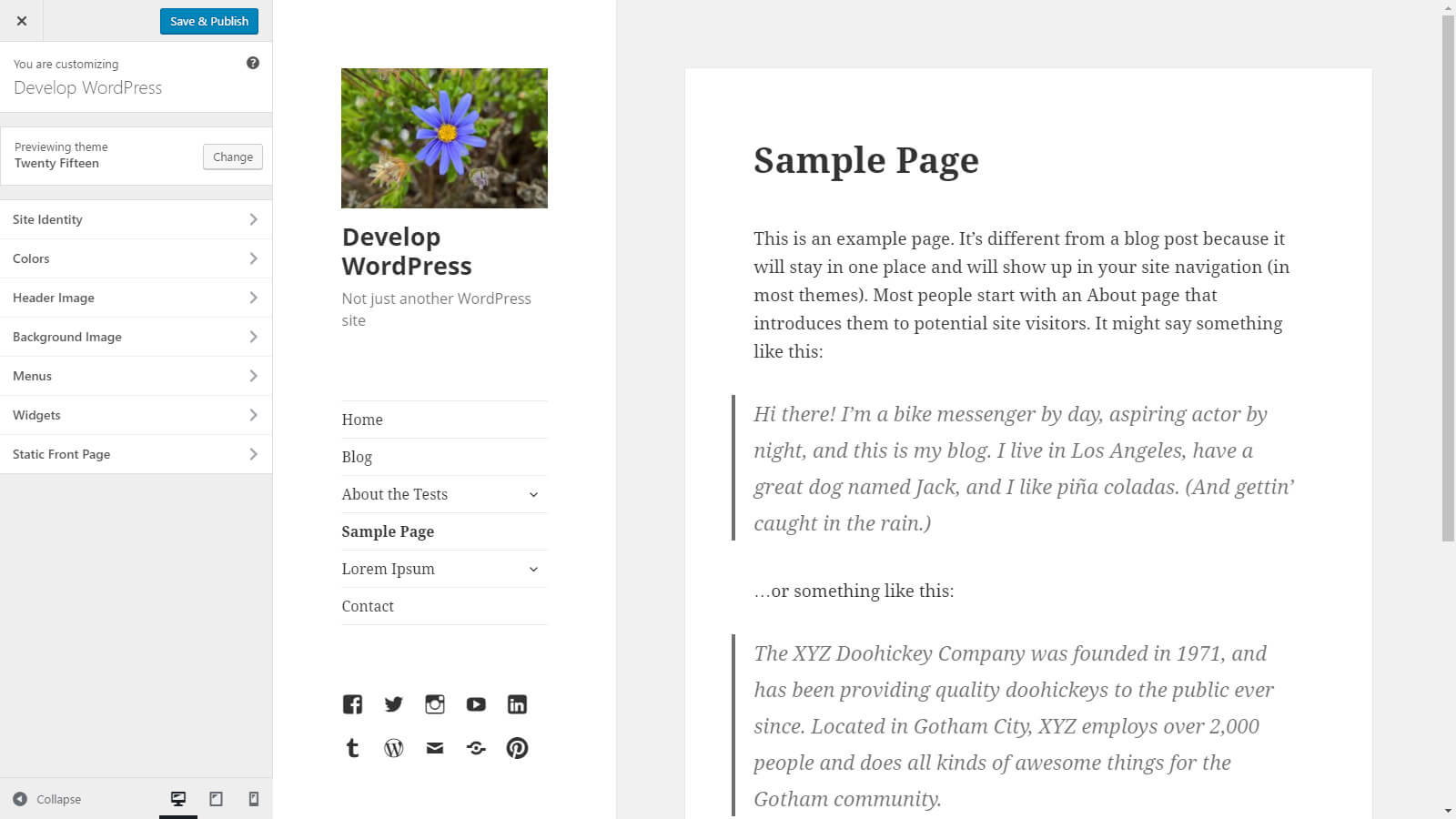 customize a theme in WordPress