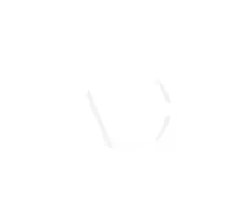 ACF plugin logo
