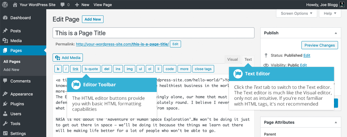 Copy the text editor content for desired page in WordPress classic editor